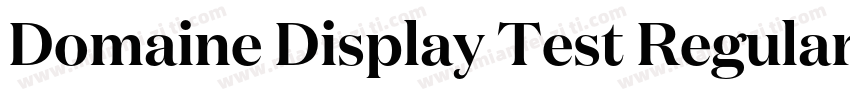 Domaine Display Test Regular字体转换